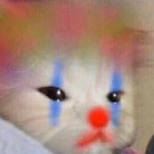 Meet your Posher, Rashell